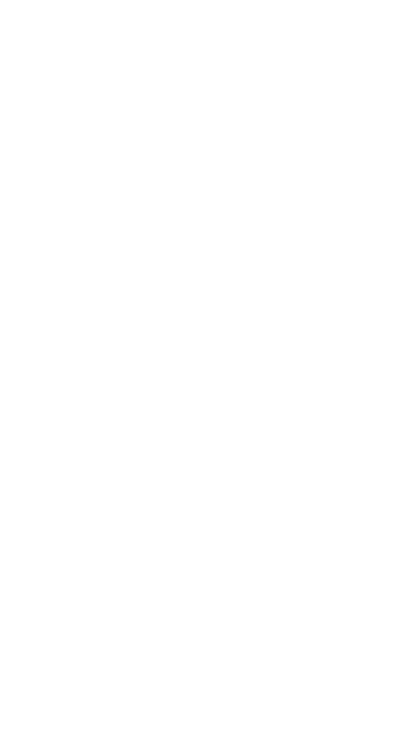streamline icon